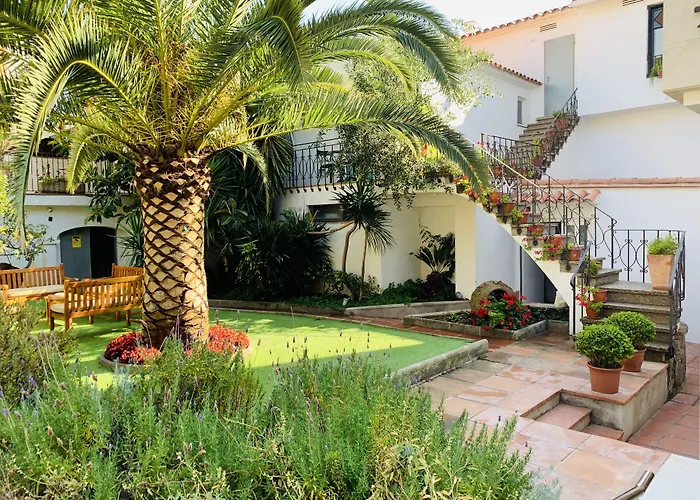 코스타 브라바 플라티야 다로